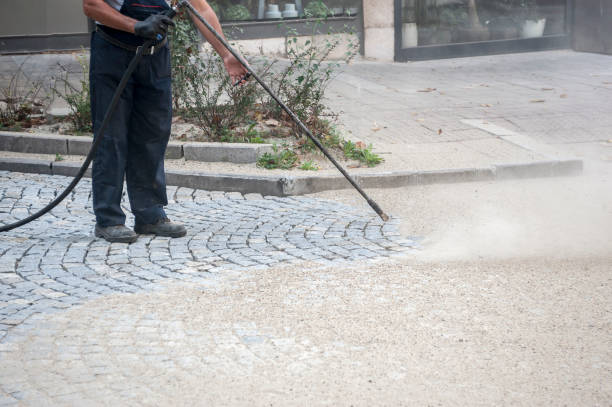Animal Enclosure Cleaning in Bloomer, WI